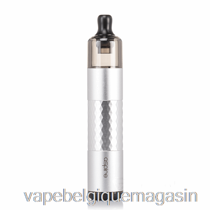 Vape Jetable Aspire Flexus Stik Starter Kit Argent